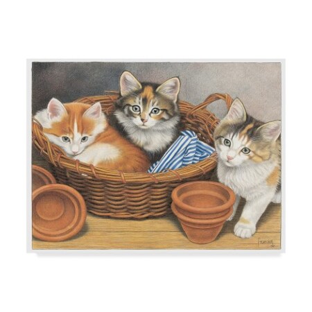Trademark Fine Art Francien Van Westering 'Cats In A Basket' Canvas Art, 18x24 ALI34715-C1824GG